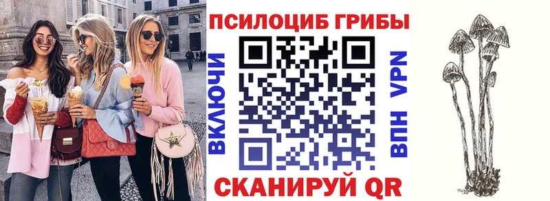 Псилоцибиновые грибы GOLDEN TEACHER  Яранск 